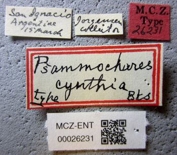 Media type: image;   Entomology 26231 Aspect: labels